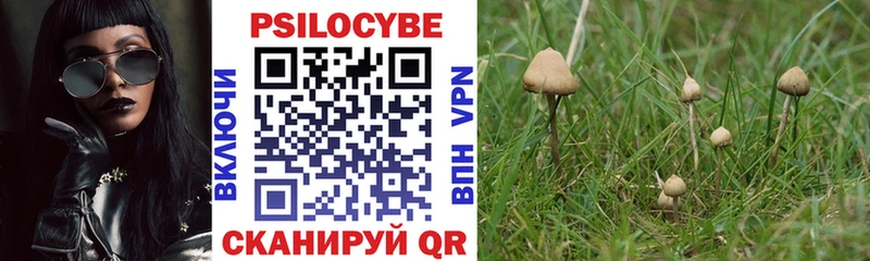 Купить где  Гусиноозёрск  Галлюциногенные грибы Psilocybine cubensis 